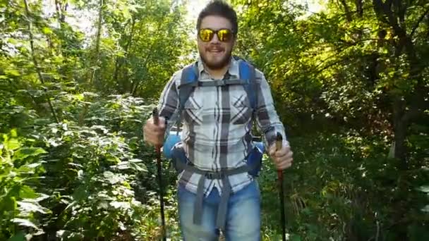 Conceito de caminhadas e turismo. Um homem está andando ao longo de uma floresta de verão — Vídeo de Stock