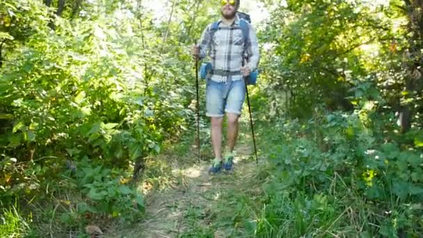 Concepto de senderismo y turismo. Un hombre camina por un bosque de verano — Vídeo de stock