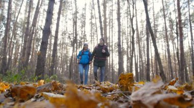 Bir kaç yürüyüşçü sonbahar ormandaki sırt çantaları ile Hiking. Aktif dinlenme kavramı