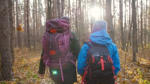 Un par de excursionistas Senderismo con mochilas en el bosque de otoño. Concepto de descanso activo — Vídeos de Stock