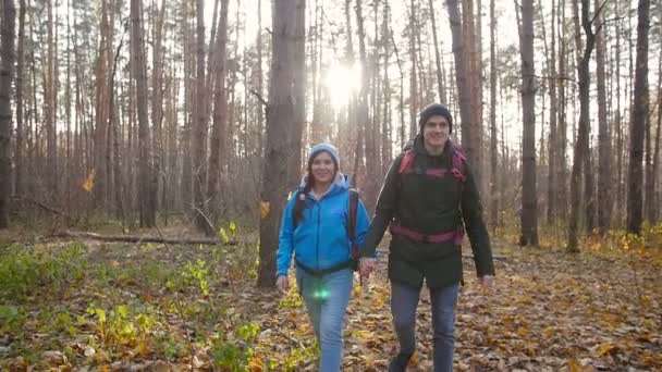 Hiking and Backpacking concept. Young Couple of travelers walking in forest in autumn day — Stock Video