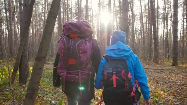 Hiking and Backpacking concept. Young Couple of travelers walking in forest in autumn day — Stock Video