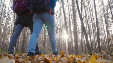 Yürüyüş ve kavram Backpacking. Genç çift sonbahar gün ormanda yürümek yolcularının