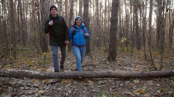 Concepto de senderismo y mochilero. Jóvenes Pareja de viajeros caminando en el bosque en el día de otoño — Vídeos de Stock