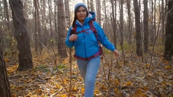 Conceito de inverno, viagens de outono e caminhadas. Jovem caminhante mulher caminhando fora em uma floresta de outono — Vídeo de Stock