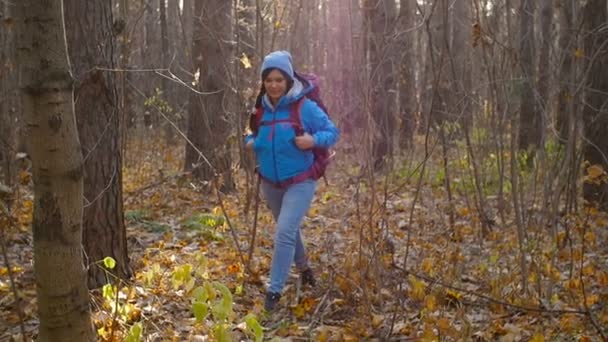 Konzept der Winter-, Herbst- und Wanderreisen. Junge Wanderin wandert draußen im Herbstwald — Stockvideo
