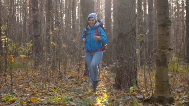 Concetto di inverno, viaggi autunnali ed escursioni. Giovane escursionista donna escursioni fuori in una foresta autunnale — Video Stock