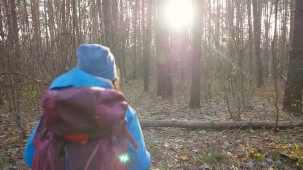 Concept of winter, autumn travel and hiking. Young hiker woman hiking outside in a autumn forest — Stock Video