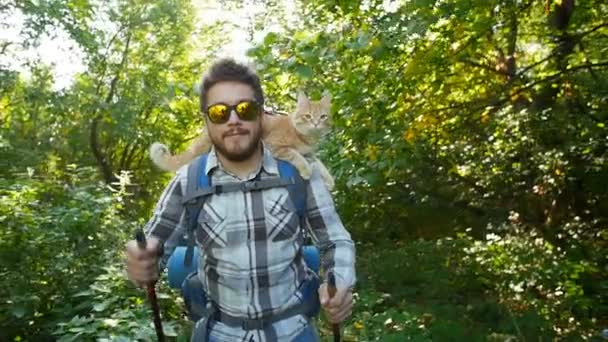 Travel concept. Een jonge mannelijke backpacker is reizen met zijn kat — Stockvideo