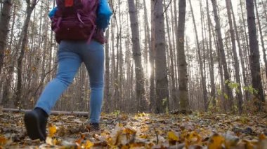 Kış, sonbahar seyahat ve yürüyüş kavramı. Sonbahar ormanda hiking kadın