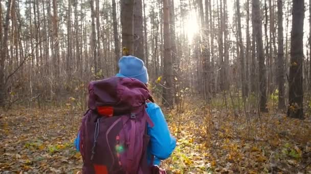 Kış, sonbahar seyahat ve yürüyüş kavramı. Sonbahar ormanda hiking kadın — Stok video