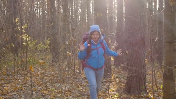Koncepcja Zimowe Jesienne Podróże Turystyka Młoda Kobieta Lesie Jesienią — Wideo stockowe