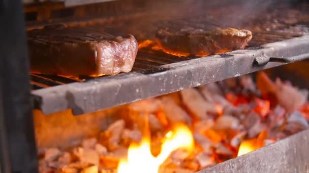 Conceito de cozinha. Dois bifes grelhados na grelha flamejante — Vídeo de Stock