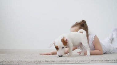 Evde beslenen hayvan kavramı. Sevimli kız beyaz iç bir köpek vasıl ev ile oynarken