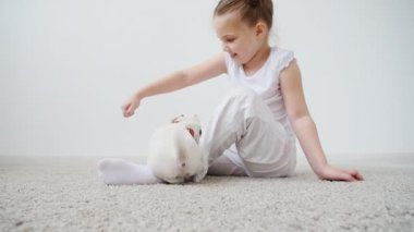 Evde beslenen hayvan kavramı. Sevimli kız beyaz iç bir köpek vasıl ev ile oynarken