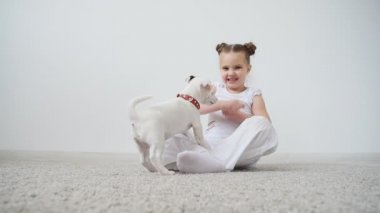 Evde beslenen hayvan kavramı. Sevimli kız beyaz iç bir köpek vasıl ev ile oynarken