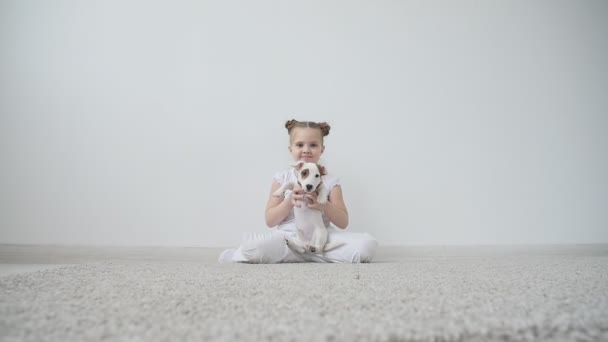 Conceito de animal. Menina bonito brincando com um cão em casa no interior branco — Vídeo de Stock