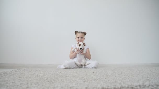 Concepto de mascota. Linda chica jugando con un perro en casa en el interior blanco — Vídeo de stock