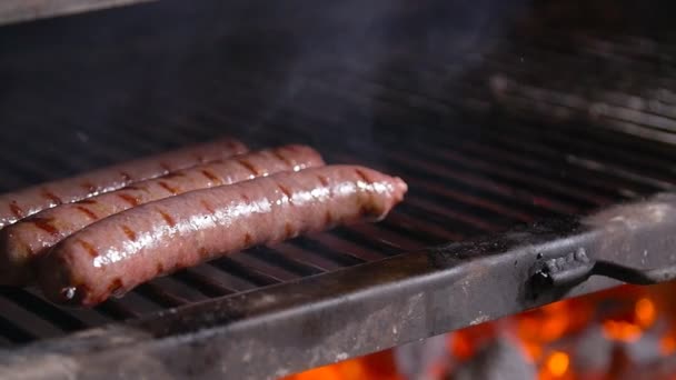 Koken concept. Barbecue worstjes op een brand grill gegrild — Stockvideo