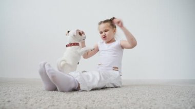 Evde beslenen hayvan kavramı. Küçük şirin bir köpek parlak bir odada kızla