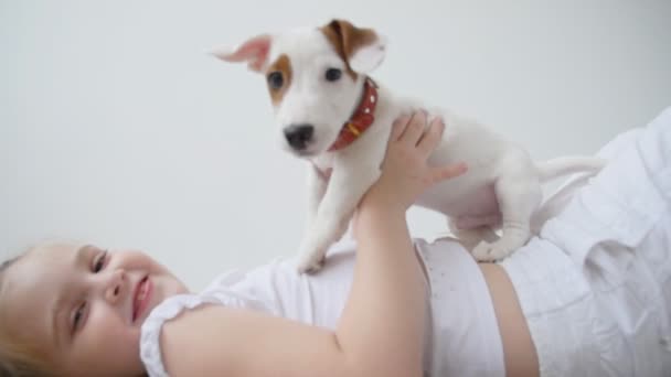 Conceito de animal. Menina com um pequeno cão bonito Jack Russell Terrier em um quarto brilhante — Vídeo de Stock