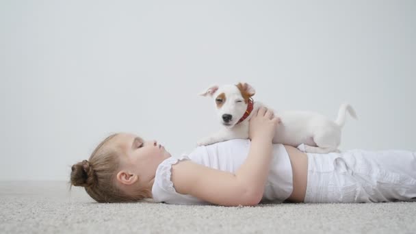 Klein meisje met de hond spelen op de mat thuis in witte interieur — Stockvideo