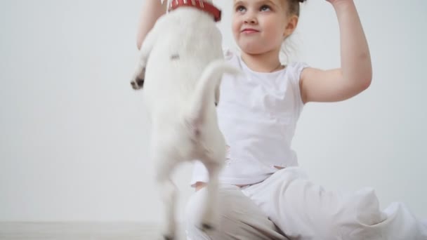 Niña con el perro jugando en la alfombra en casa en el interior blanco — Vídeos de Stock