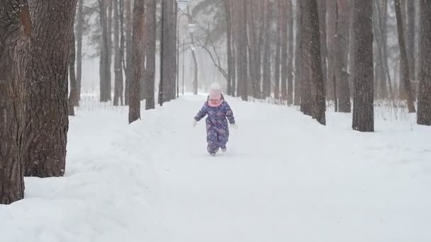 Téli és karácsonyi fogalom. Boldog kislány a téli parkban — Stock videók