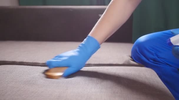 The concept of cleaning the apartment or office. Worker cleans the sofa with a brush — Stock Video