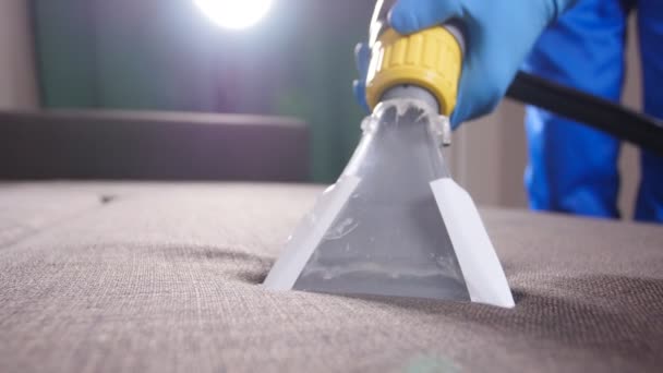 Limpeza a seco do sofá no apartamento ou escritório — Vídeo de Stock