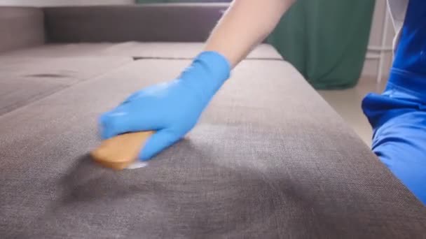 Cleaning concept. Young man worker cleans sofa in the room or office — Stock Video