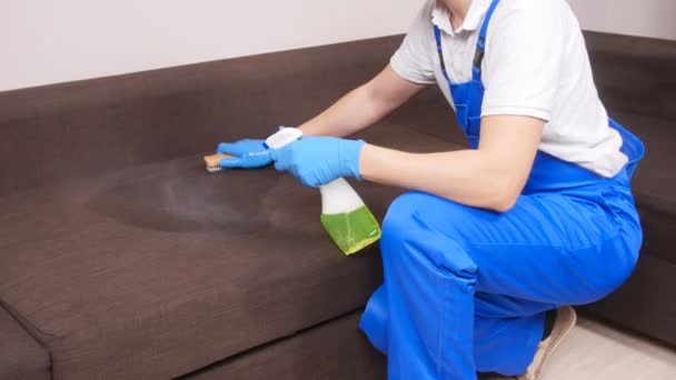Pojęcie czystości. Pralnia chemiczna pracownik usunięcie zanieczyszczeń z mebli tapicerowanych — Wideo stockowe
