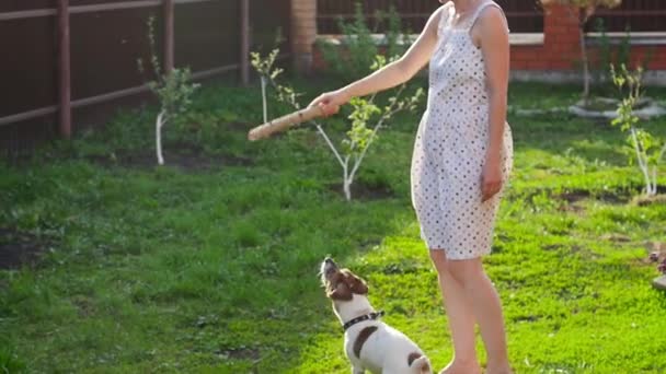 Concept of friendship and pets. Happy young woman and dog having fun at grass — Stock Video