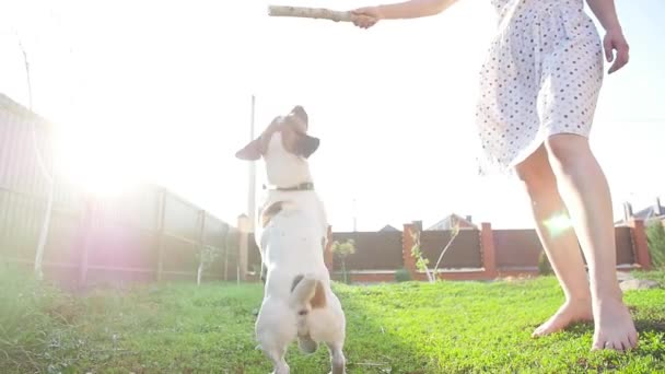 Conceito de amizade e animais de estimação. Jovem feliz e cão se divertindo na grama — Vídeo de Stock