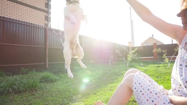 友谊和宠物的概念。快乐的年轻女子和狗在草地上玩得开心 — 图库视频影像