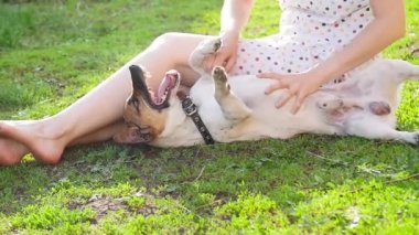 Evcil hayvan kavramı ve açık dinlenme. Genç kadın köpek Jack Russell Terrier ile oynuyor