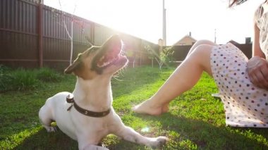 Evcil hayvan kavramı ve açık dinlenme. Genç kadın köpek Jack Russell Terrier ile oynuyor