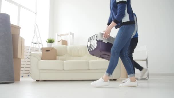 Joven madre e hijo con su gato se están mudando a un nuevo apartamento — Vídeo de stock