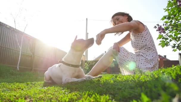 Koncepcja zwierząt domowych i rekreacji na świeżym powietrzu. Młoda kobieta gra z psem Jack Russell Terrier — Wideo stockowe