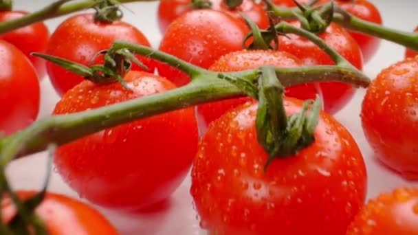 Красиві соковиті вишневі помідори на гілці — стокове відео