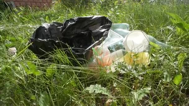 행성의 오염의 개념. 녹색 잔디에 플라스틱 쓰레기 — 비디오