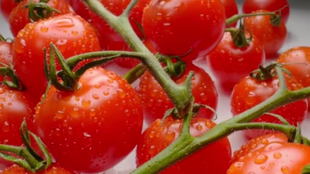 Pequenos tomates de cereja vermelhos em um tiro de macro largo de mesa cinza — Vídeo de Stock