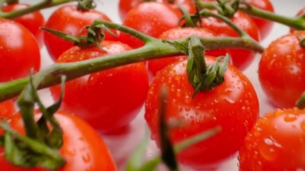 Schöne saftige Kirschtomaten auf einem Zweig — Stockvideo