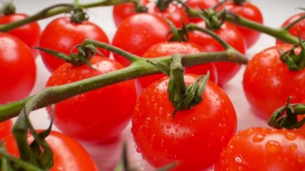 Mooie sappige cherry tomaten op een tak — Stockvideo