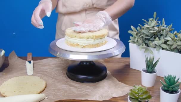 Petite entreprise et concept de passe-temps. Femme cuisine un gâteau savoureux — Video