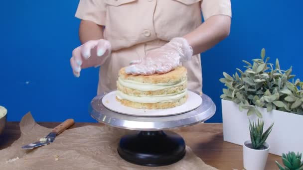 中小企業と趣味の概念。おいしいケーキを調理する女性 — ストック動画