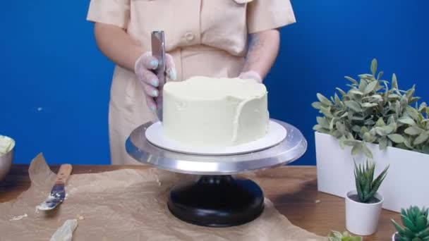 Petite entreprise et concept de passe-temps. Femme cuisine un gâteau savoureux — Video