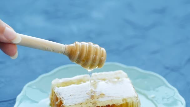 Natural Eco Food Concept. La mano sostiene el husillo para la miel. Dulces panales en un plato — Vídeos de Stock