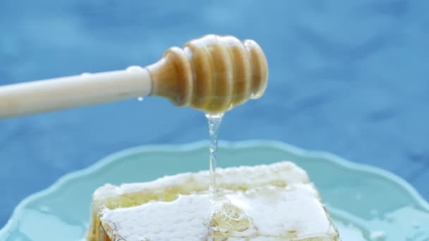 Natural Eco Food Concept. La mano sostiene el husillo para la miel. Dulces panales en un plato — Vídeo de stock