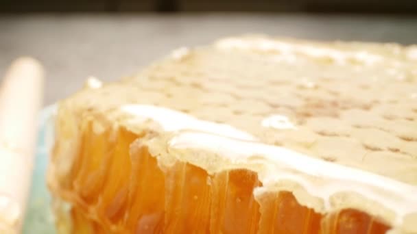 Conceito Natural Eco Food. favos de mel frescos com pau de madeira, close-up — Vídeo de Stock